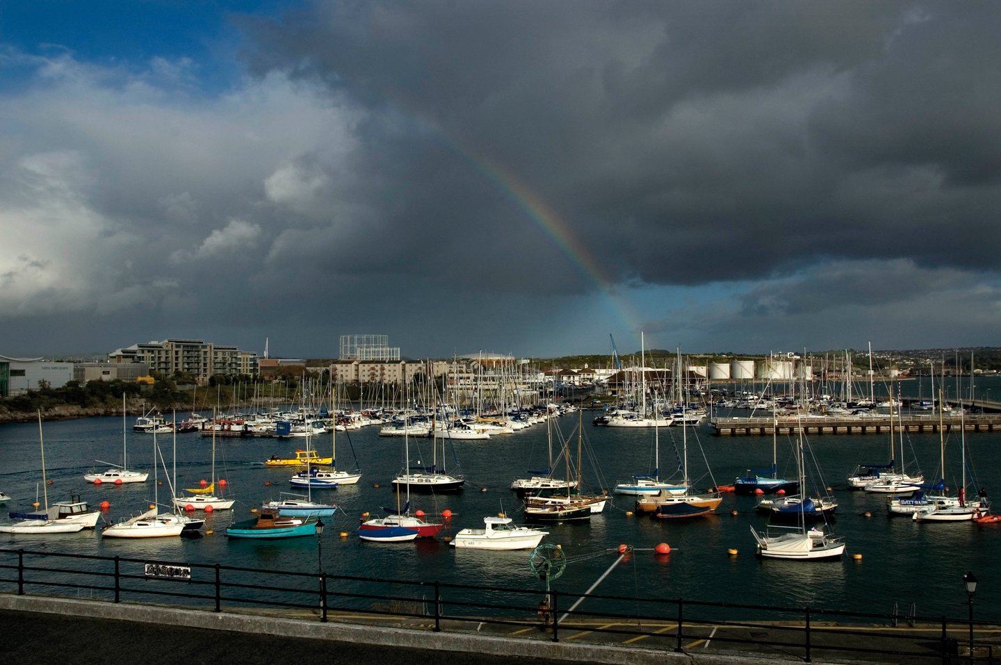A tropical beach scene