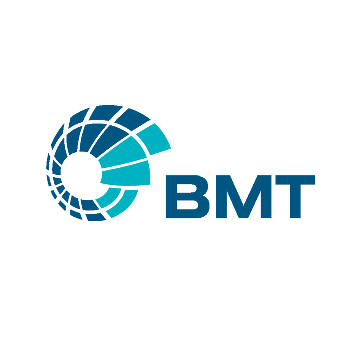 BMT