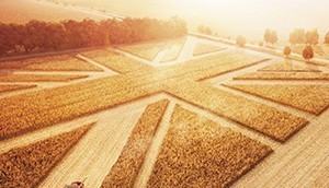 Agri_146355_001