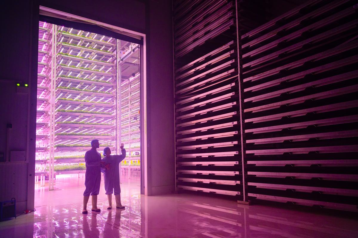 Vertical growing facility